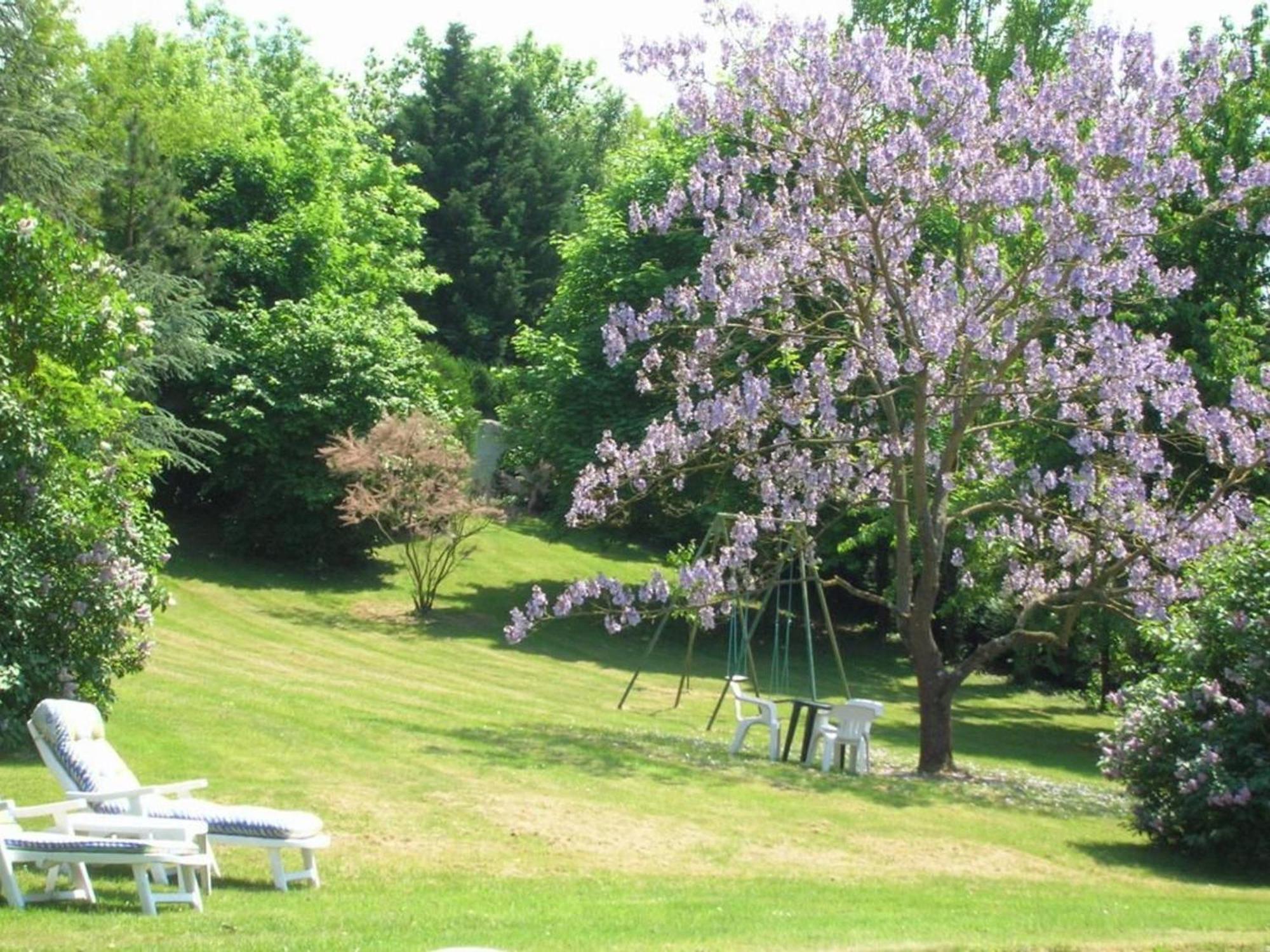 Bed and Breakfast Charme Au Coeur Des Chateaux De La Loire Avec Wifi - Fr-1-590-305 Tavers Exterior foto